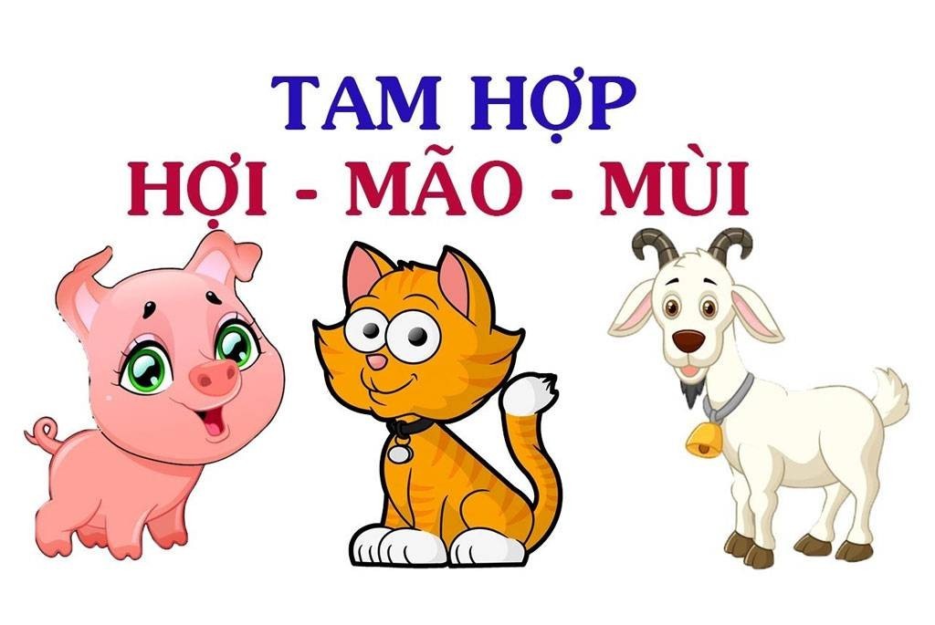 Bộ ba Tam hợp Hợi – Mão – Mùi
