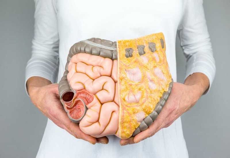 Đậu xanh rất tốt cho đường tiêu hóa
