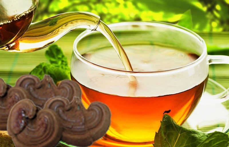 Trà nấm lim xanh có thể hỗ trợ điều trị bệnh cao huyết áp và đái tháo đường