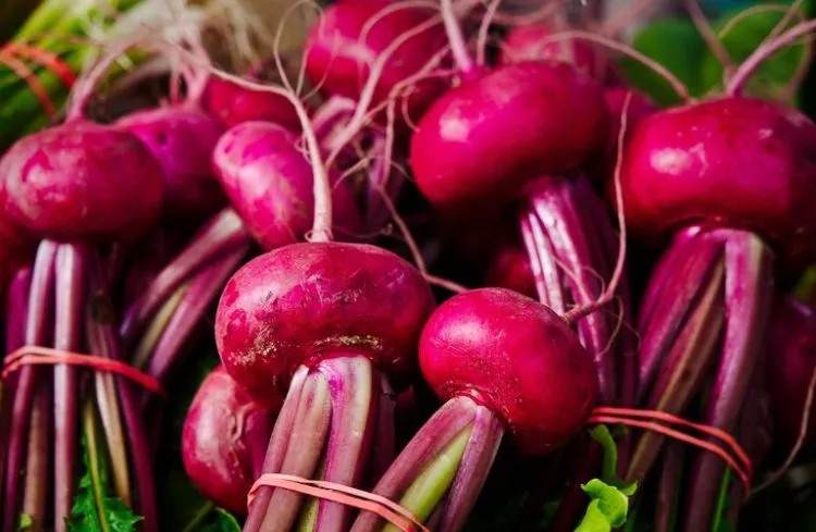 Củ dền tươi và lát cắt nhìn rõ cấu trúc bên trong
