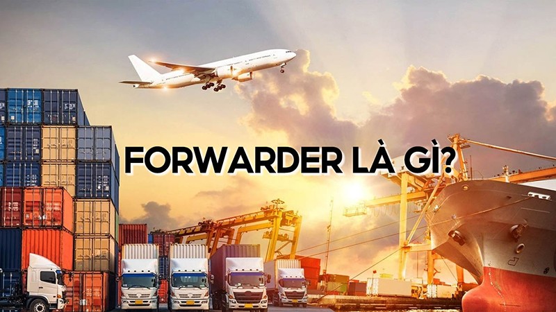 Forwarder – người bạn đồng hành của doanh nghiệp trong hành trình xuất nhập khẩu hàng hóa