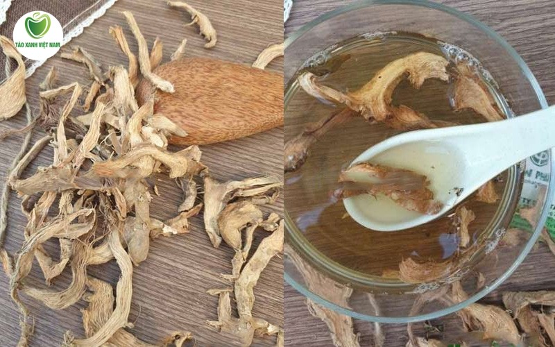 Dùng nước củ cát lồi để xông, rửa vùng kín sẽ làm sạch nấm khuẩn bên ngoài vùng kín