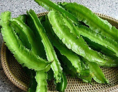 Quả đậu rồng đem lại giá trị cao cho sức khỏe người dùng