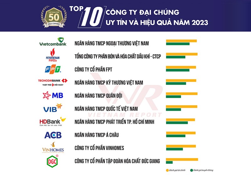 Top 100 công ty cổ phần lớn nhất Việt Nam hiện nay