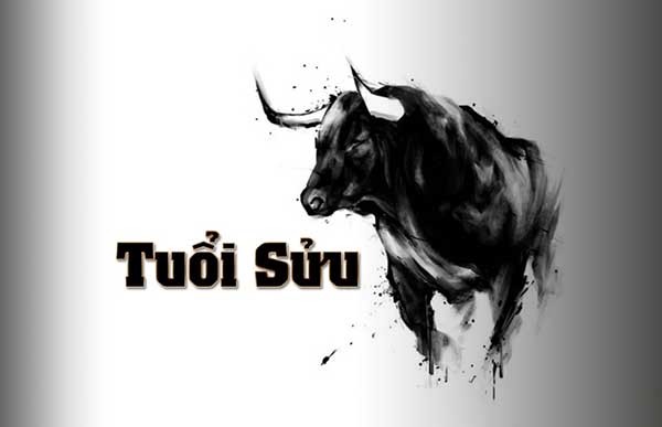 Người tuổi Sửu với vẻ ngoài năng lượng, tràn đầy nhiệt huyết và ý chí
