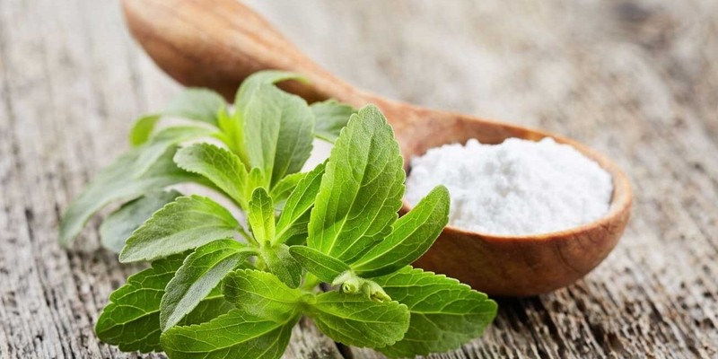 Lá cây cỏ ngọt là bộ phận có hàm lượng chất tạo ngọt tự nhiên cao