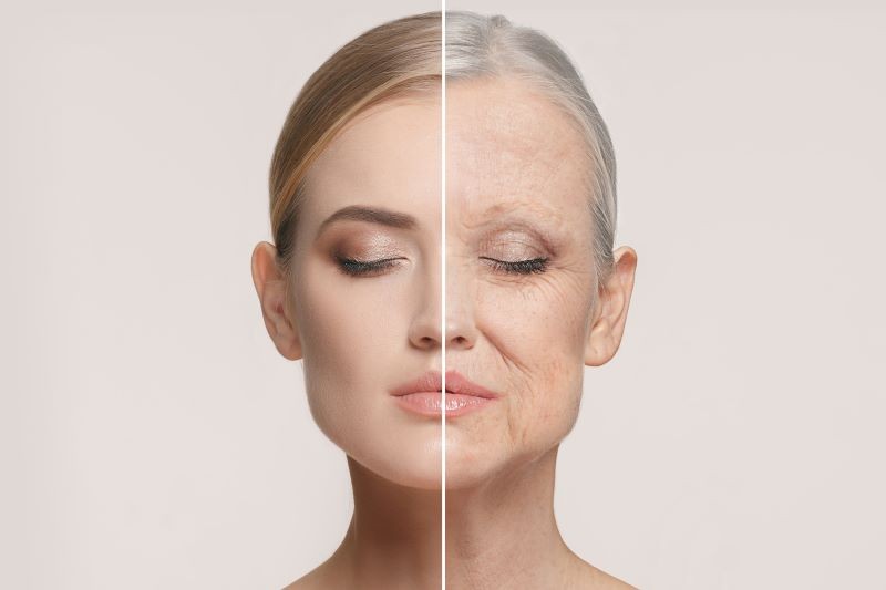 Đặc tính chống oxy hóa của cây cỏ ngọt có tác dụng ngăn ngừa sự lão hóa