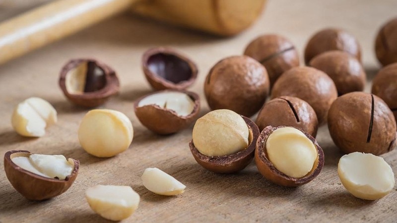 Hạt macca giàu dưỡng chất, là món quà quý từ thiên nhiên cho sức khỏe