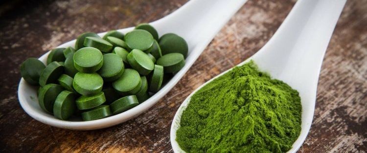 Tảo xoắn có thể giúp người luyện tập cải thiện sức mạnh và sức bền của cơ bắp