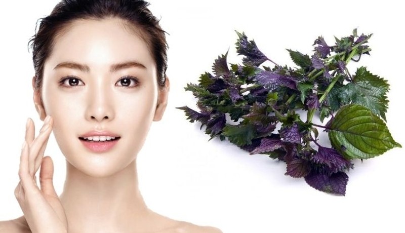Đắp mặt nạ lá tía tô xay nhuyễn giúp dưỡng trắng da tại nhà