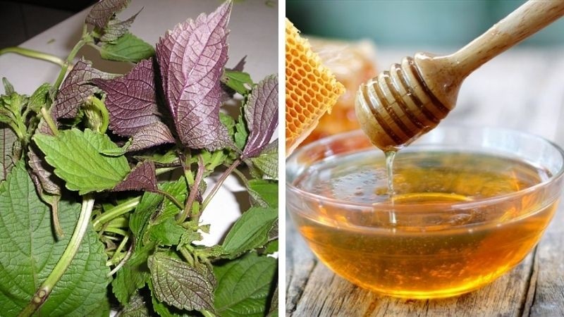 Mặt nạ lá tía tô và mật ong giúp da trắng hồng, mịn màng
