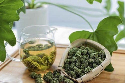 Uống tam thất nóng hay mát?
