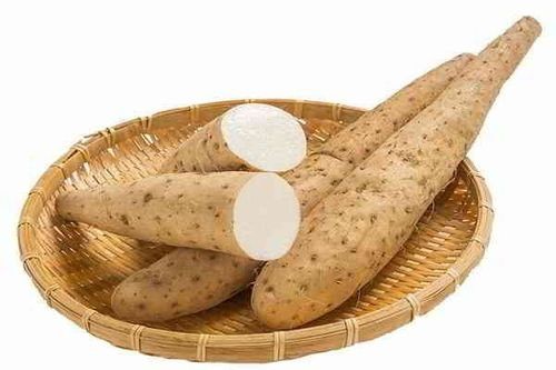 Tác dụng củ hoài sơn được đánh giá cao trong điều trị bệnh lý thần kinh ngoại biên