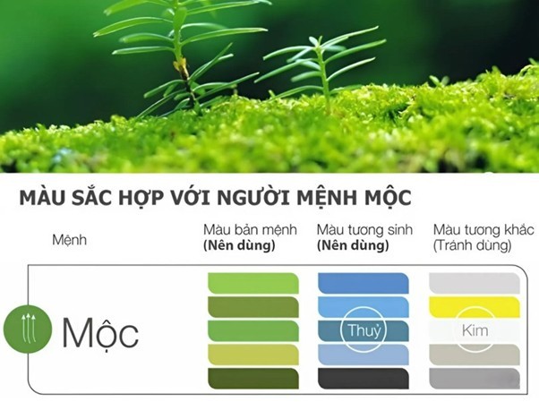 Màu bản mệnh của mệnh Mộc là xanh lá cây, màu gỗ tự nhiên