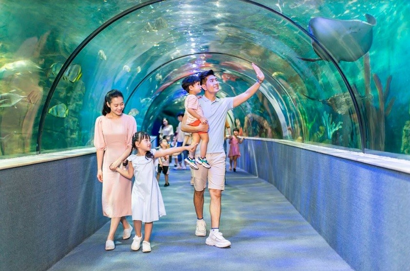 Khám phá thủy cung lớn nhất tại Hà Nội