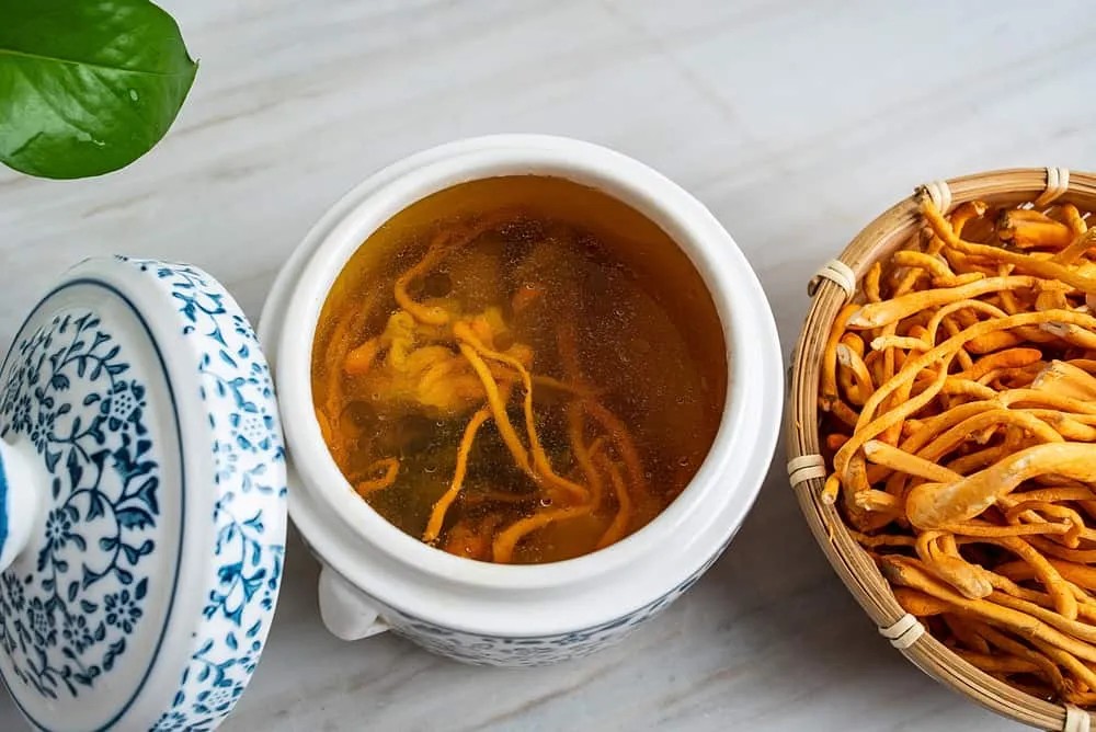 Cận cảnh Đông trùng hạ thảo tự nhiên và những lợi ích sức khỏe đa dạng