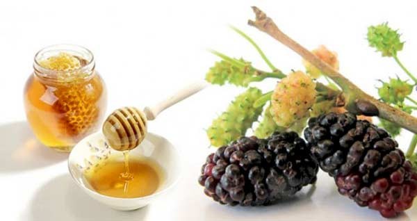 Hũ dâu tằm ngâm mật ong thơm ngon, bổ dưỡng