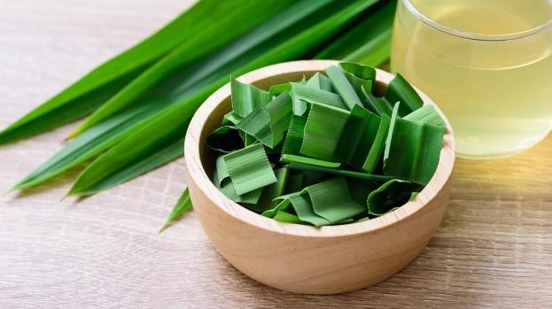 Uống nước lá dứa giúp giảm lo lắng, nâng cao chất lượng giấc ngủ