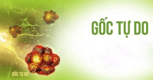 Gốc tự do là các phân tử không ổn định có thể gây tổn thương tế bào trong cơ thể
