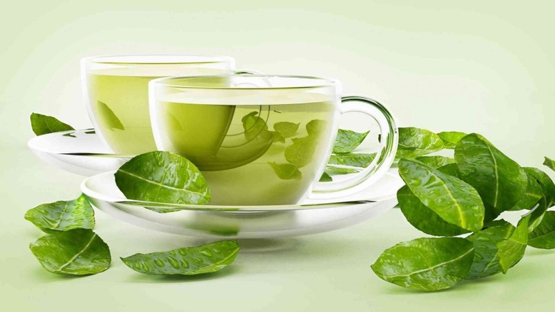 Cây vối là cây thân gỗ phổ biến ở Việt Nam