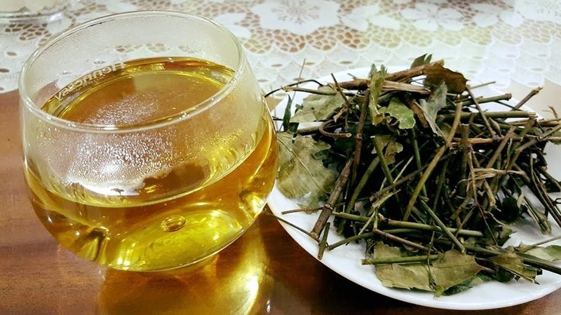 Không nên uống nhiều nước lá vối sau bữa ăn