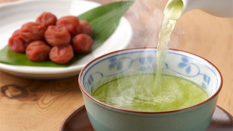 Uống nước lá vối có tác dụng điều trị một số bệnh lý
